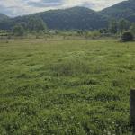 SHITET TOKE BUZE RRUGE NE MUMAJES!!