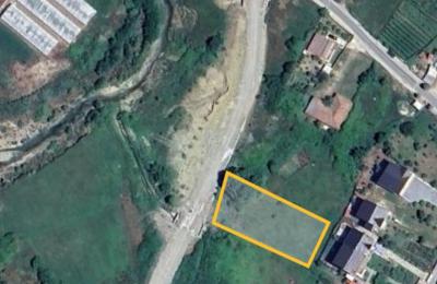 SHITET TOKE NE QEHA, MULLET!!