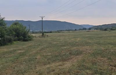 🏡 Shitet Tokë në Picalle – Tiranë