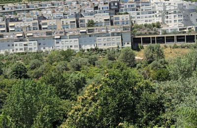 JEPET ME QIRA | 1+1 Premium