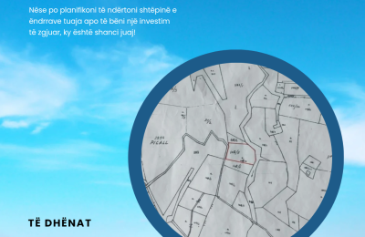 SHITET TOKË NË PICALLE