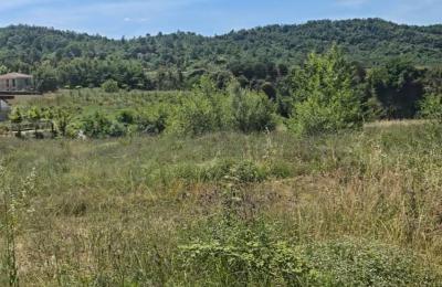 Shitet Toke afer Rolling Hills.