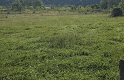 SHITET TOKE BUZE RRUGE NE MUMAJES!!