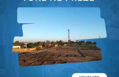 SHITET TOKË NË PREZË